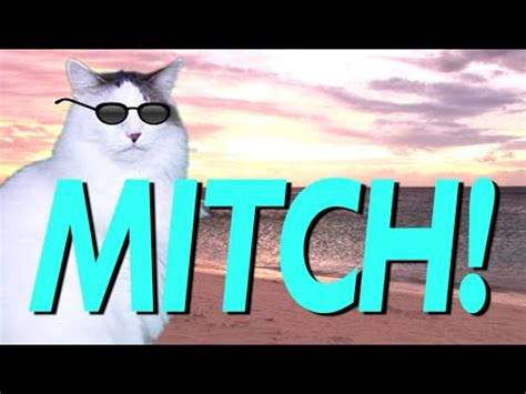 happy birthday mitch epic cat happy birthday song youtube