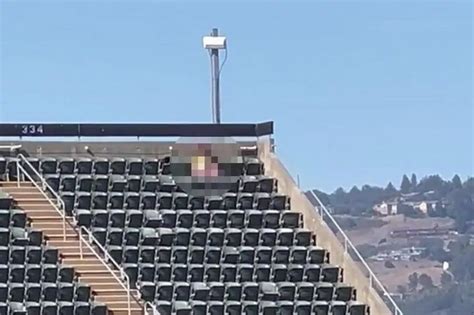 Randy Couple Spotted Having Sex In Sports Stadium At Game As Crowd