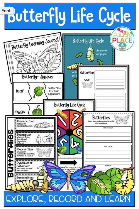 butterfly life cycle activities  worksheets butterfly life cycle