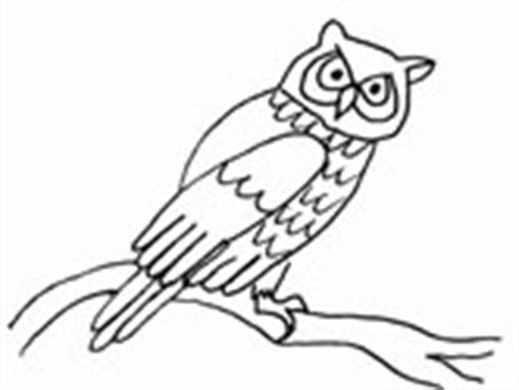 wise  owl coloring pages