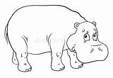 Hippopotamus Ippopotamo Immagine Animale Coloritura Bianco sketch template
