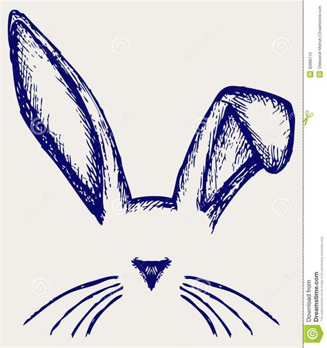 easter bunny ears easter bunny ears bunny sketches bunny art