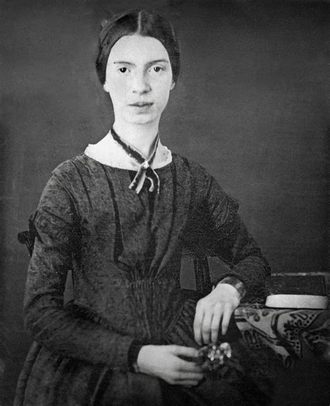 emily dickinson a precious mouldering my american poetry review my french quest