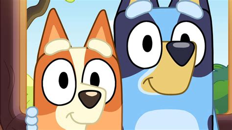two bluey episodes pulled by abc over ‘racist connotations the