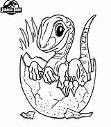 Jurassic Park Coloring Pages Movies Printable Kb Drawing sketch template