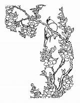 Japanese Coloring Drawing Cherry Blossom Tree Pages Flag Japan Flower Chinese China Getdrawings Sheets Coloriage Colouring Japon Garden Oiseau Sakura sketch template