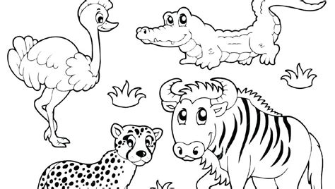 grassland animals coloring pages  getdrawings