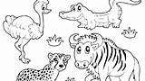 Coloring Grassland Pages Animals Savanna African Printable Getdrawings Getcolorings Map Color Beautiful Colorings sketch template