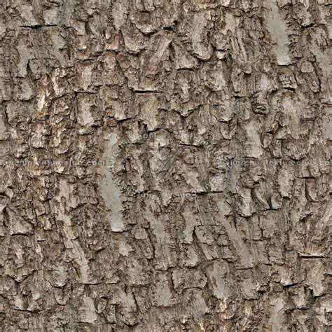 bark texture seamless