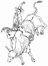 Bull Riding Rodeo Drawings Easy Coloring Result sketch template