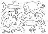 Fish Coloring Pages Drawing Colour Printable Kids Template Sheets Print Ocean Color Sea Animal Creation Drawings Animals Forkids sketch template