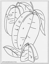 Coloring Star Fruit Pages Fruits Color Print Choose sketch template