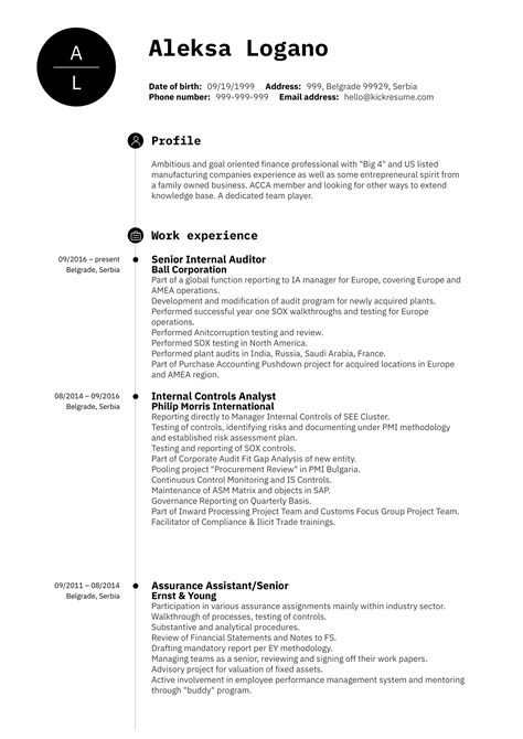 audit senior resume sample