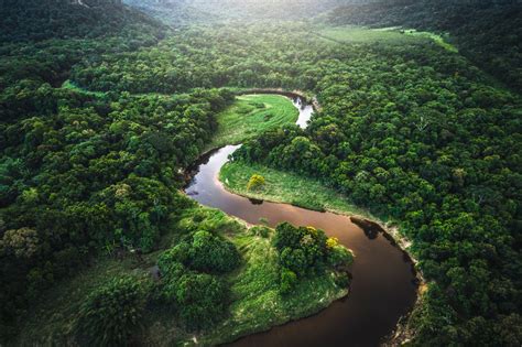 las razones  explican la importancia de la selva amazonica raisg