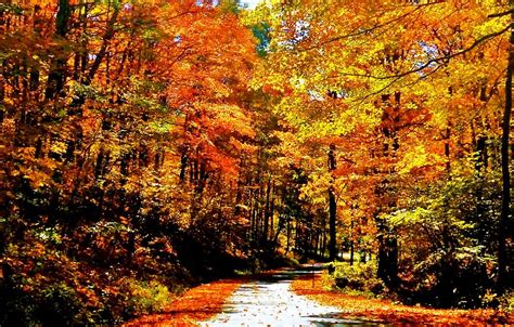 Pennsylvania Autumn Road Photograph By Benjamin Yeager