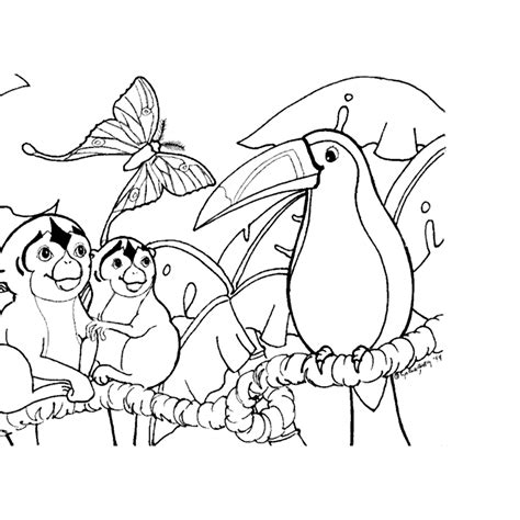 coloring pages  animals  rainforest coloring home