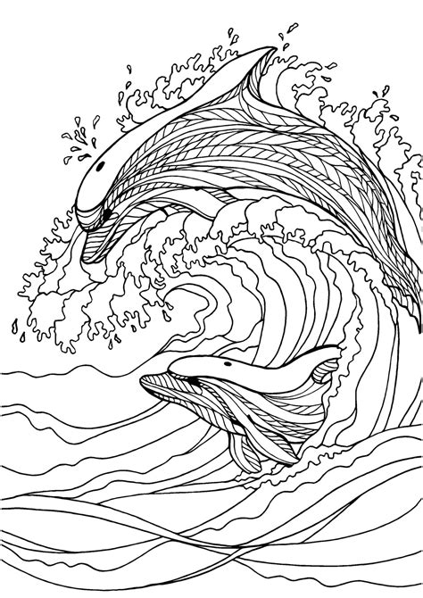 dolphin adult colouring page colouring  sheets art craft art