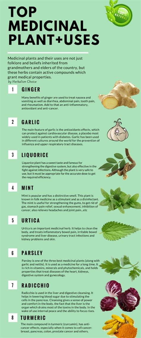 pin  davina stash  wellnesshealthfitness herbs list medical
