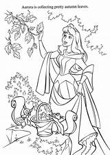 Coloring Disney Pages Autumn Sleeping Beauty Princess Kids Aurora Sheets Leaves Collecting Printable Fall Pretty Ausmalbilder Cartoon Adult Printables Leaf sketch template