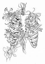 Greys Artsy Libra Fartsy Skeletons sketch template