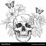 Skull Butterfly Flowers Vector Royalty sketch template