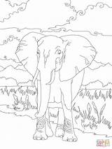 Savane Sabana Elefante Africano Eléphant Afrique Colorir Supercoloring Elefantes Colouring Animais sketch template