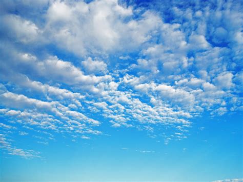 bright blue sky  white clouds  stock photo public domain pictures