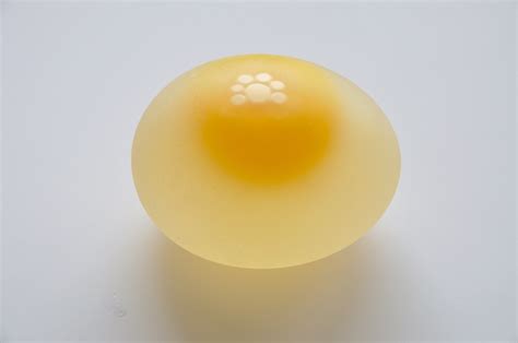 filechicken egg  eggshell jpg wikipedia   encyclopedia