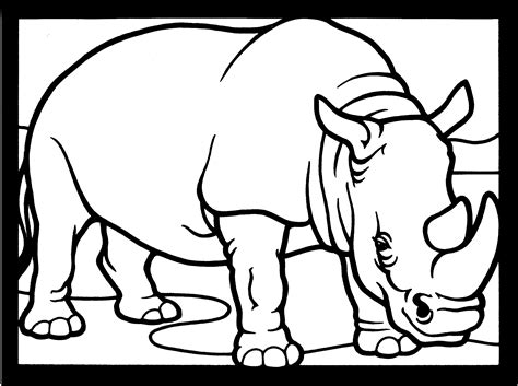 rhino coloring   designlooter