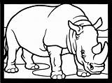 Rhino Coloring Rinoceronte Rhinoceros Designlooter sketch template