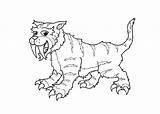 Tigers Coloriage Tigre Coloriages Tooth Sabertooth Logged sketch template