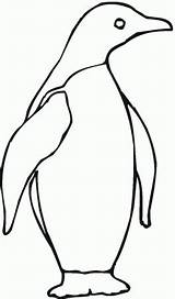 Penguin Gentoo Penguins Proficiency sketch template
