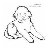 Coloring Pages Dog Newfoundland Puppy Printable Drawing Fluffy Dogs Easy Color Cliparts Clipart Kids Puppies Cute Newfie Christmas Click Library sketch template