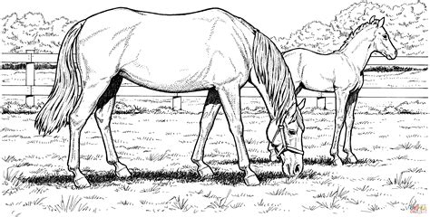 horse printable coloring page andersonecbooth