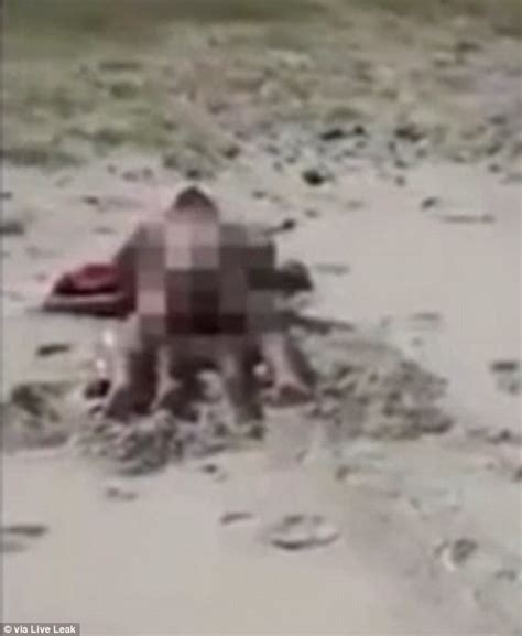 [photos] Couple Caught Having Sex On A Public Beach