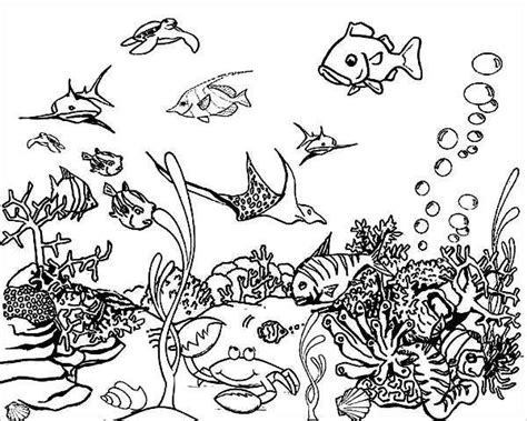sea coloring pages jpg ai illustrator