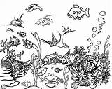 Coloring Sea Pages Underwater Realistic Colouring Templates Template Advantages sketch template