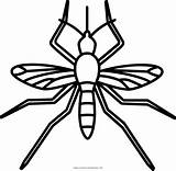 Mosquito Colorear Ultracoloringpages sketch template