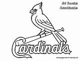 Coloring Cardinals Pages Louis St Club Books Baseball sketch template