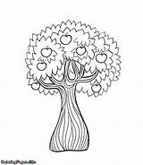 Apple Tree Coloring sketch template