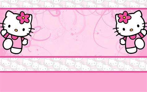 backgrounds  kitty wallpaper cave