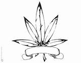 Pages Marijuana Coloring Weed Template Plant Leaf Tattoos sketch template