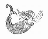 Mermaid Coloring Pages Adults Adult Click sketch template