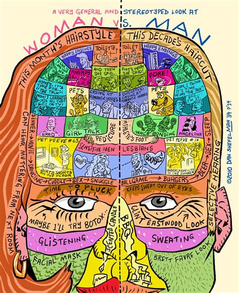 The Male And Female Brain Explained I Enjoyed Reading