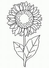 Girasol Girasoles Colorear Girassol Dibujos Pintarcolorir Resultado Bordar Matahari Anak Rosas Sunflower Acessar Salvo Cuadro sketch template