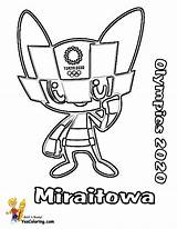 Mascot Torches Coloringhome sketch template