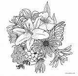 Coloring Pages Flower Flowers Printable Plant Color Print Kids Adults Sheets Cool2bkids Continue Reading sketch template