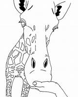 Giraffe Coloring Pages Printable Kids Face Head Outline Animal Animals Sheets Giraff Giraffes Cute Cliparts Drawings Clipart Cartoon Print Line sketch template