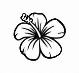 Plumeria Drawing Flower Clipartmag sketch template