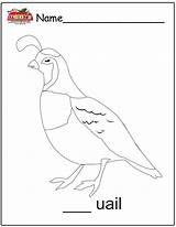 Quail Craft Template Worksheet Letter sketch template